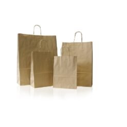 Twisted Handle Kraft Bag (Medium)