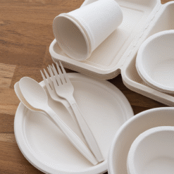 Bagasse Products