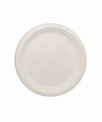 Bagasse Plate (10″)