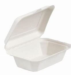 Bagasse White Meal Box (9x9")